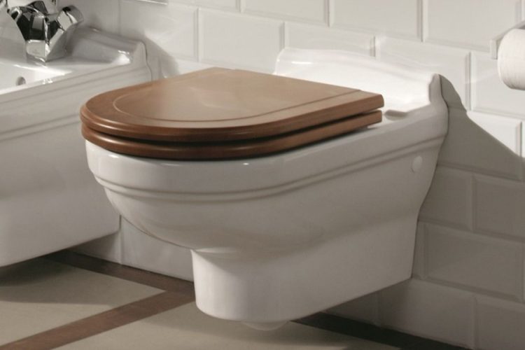 Everything You Should Know About The Various Toilet Seat Types